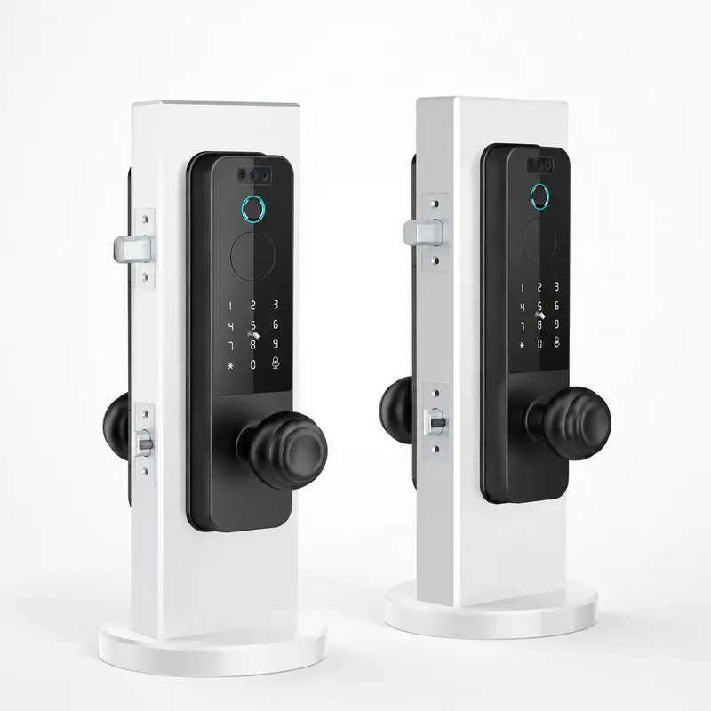 Serratura per Porta in Legno c - Smart Door Lock Wifi recensione e prezzo