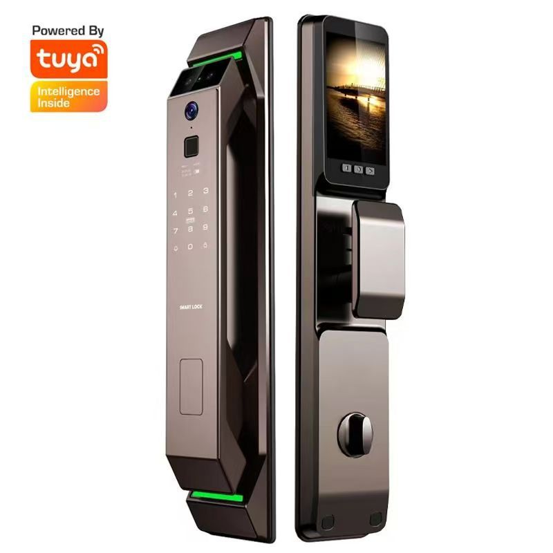 Serratura Intelligente TUYA co - Smart Door Lock Wifi recensione e prezzo