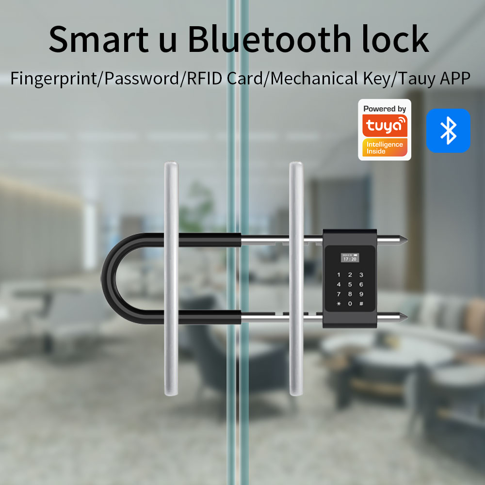 Serratura Elettronica Biometri - Smart Door Lock Wifi recensione e prezzo
