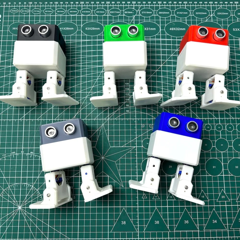 Kit Robot Bipedale Stampato in - Stem Robotics Kit recensione e prezzo